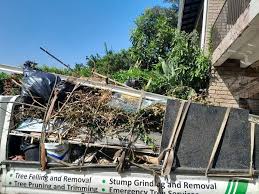 Best Yard Waste Removal  in Robbins, IL