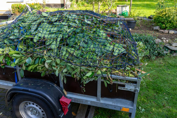 Best Same-Day Junk Removal Services  in Robbins, IL